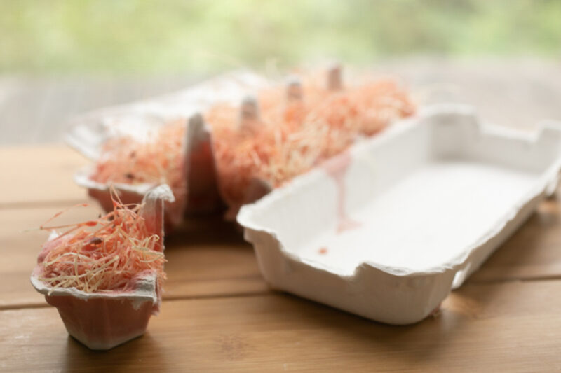 卵ケースのフタをカバーがわりに残しておき、使うたびに切り取ることをオススメします