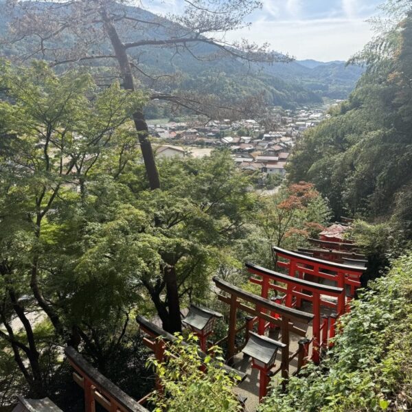 「GW・夏の国内旅行におすすめ」島根県の石見エリアがおもしろい！雲海浮かぶ山城、入場無料のホースパーク…“伝統と今が共存する街”おすすめ観光スポット6選