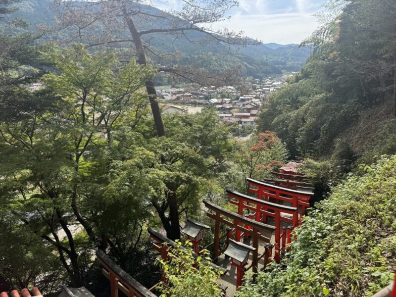「GW・夏の国内旅行におすすめ」島根県の石見エリアがおもしろい！雲海浮かぶ山城、入場無料のホースパーク…“伝統と今が共存する街”おすすめ観光スポット6選