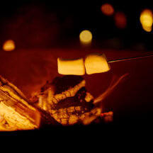 パチパチと音を立てる焚火。都会の喧騒から離れ、自然と向き合う夜には贅沢な時間が流れます