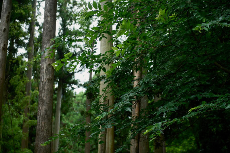 「SATOYAMA TERRACE」は自然と調和した施設なので、心身ともにリフレッシュ