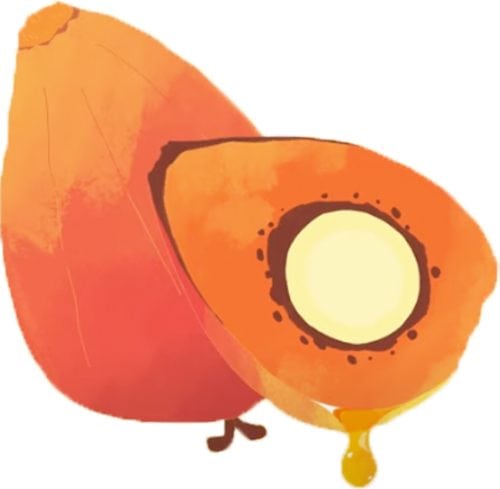 95976f6a42bf8fde9093384999e6b960-500×489