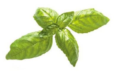 img119-e1702306729474