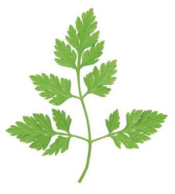 img122-e1702306700895