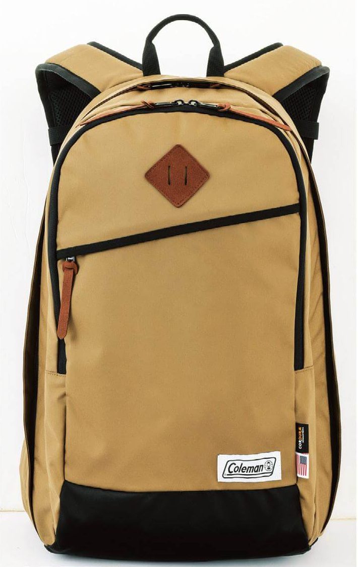 img43-1-e1702308949280