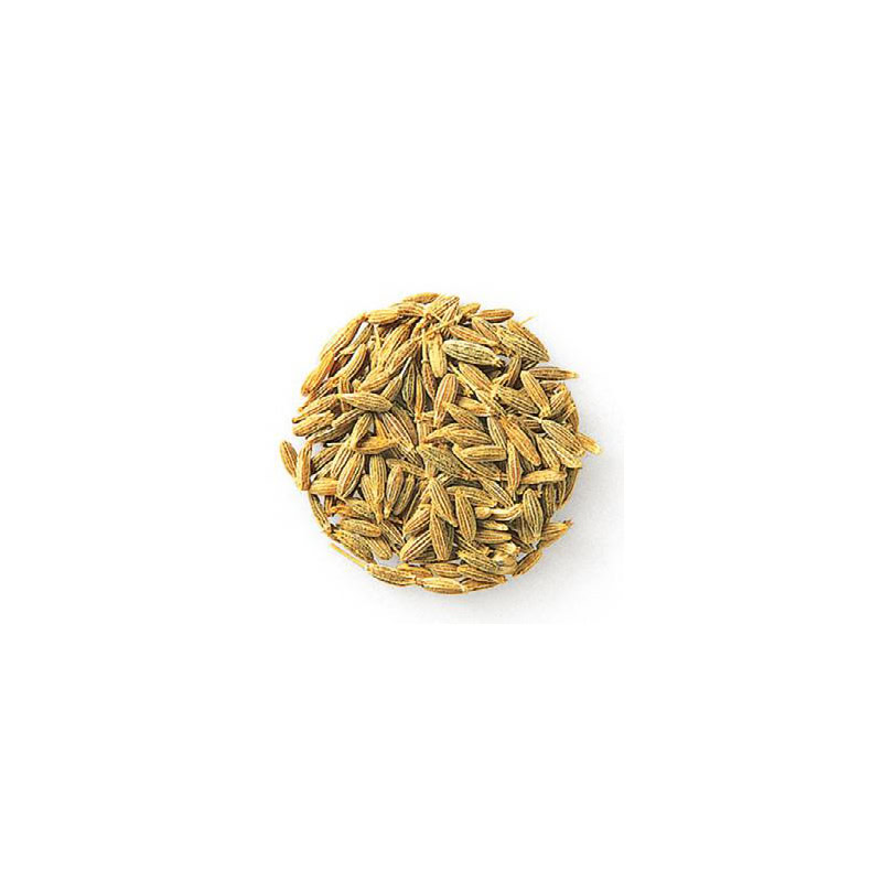 【マニアックな調味料知識】キャンプ飯にとことんこだわるなら……知っておきたい「スパイス＆ハーブ学」