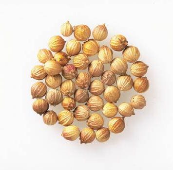 img70-e1702307097316