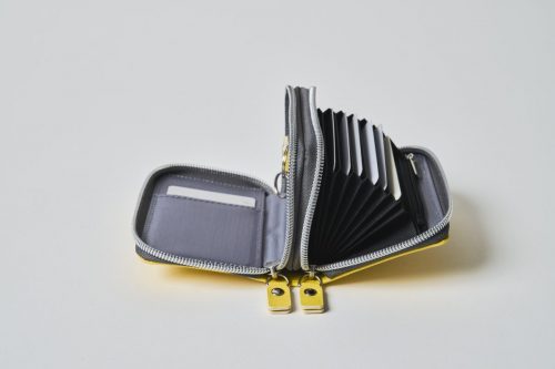 230308-08232-500×333