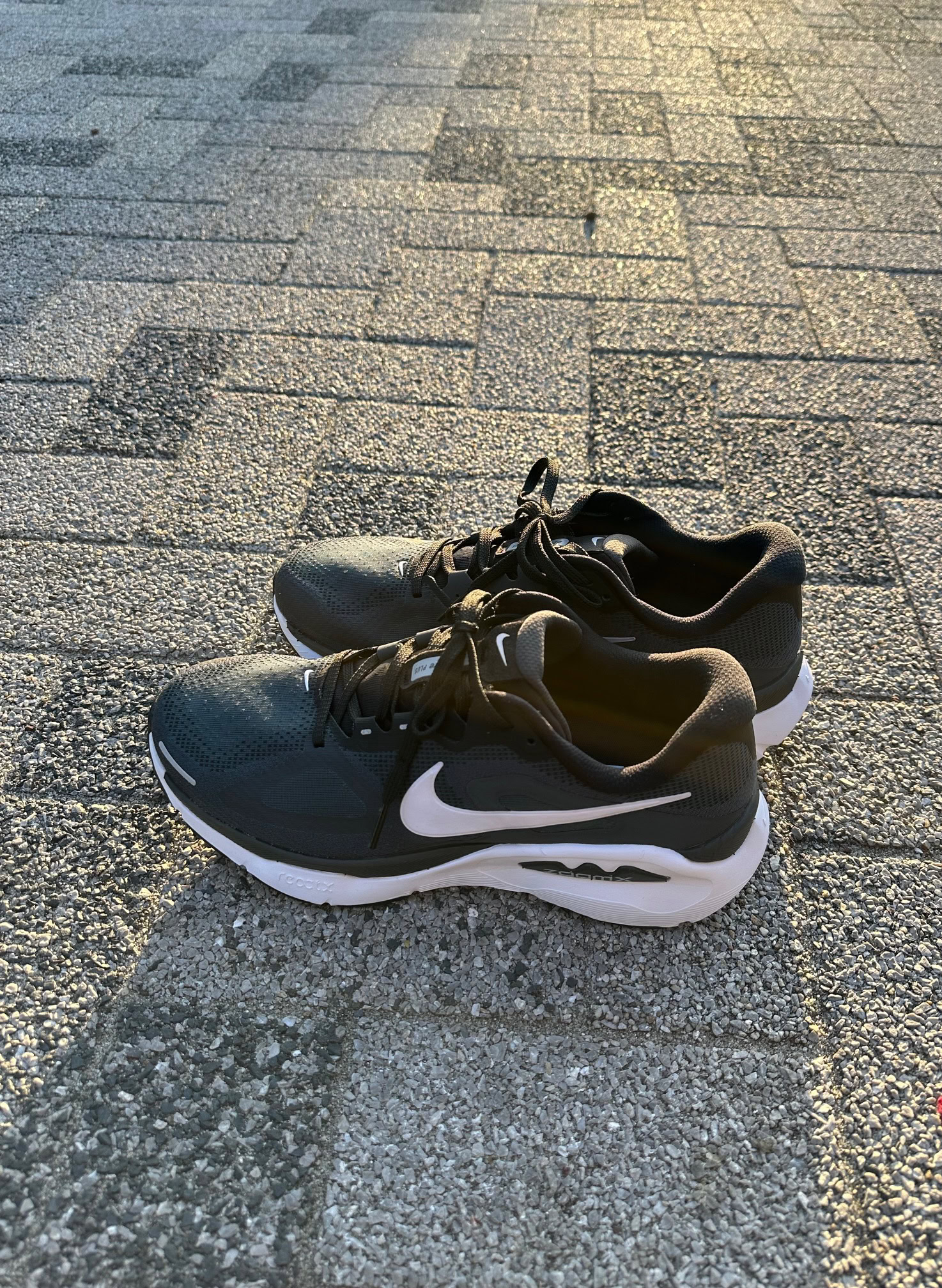 IMG_4401.jpeg